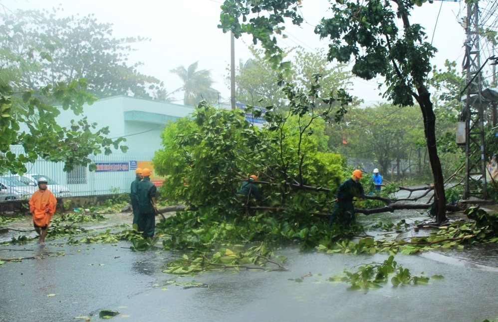 Cập nhật bão số 11