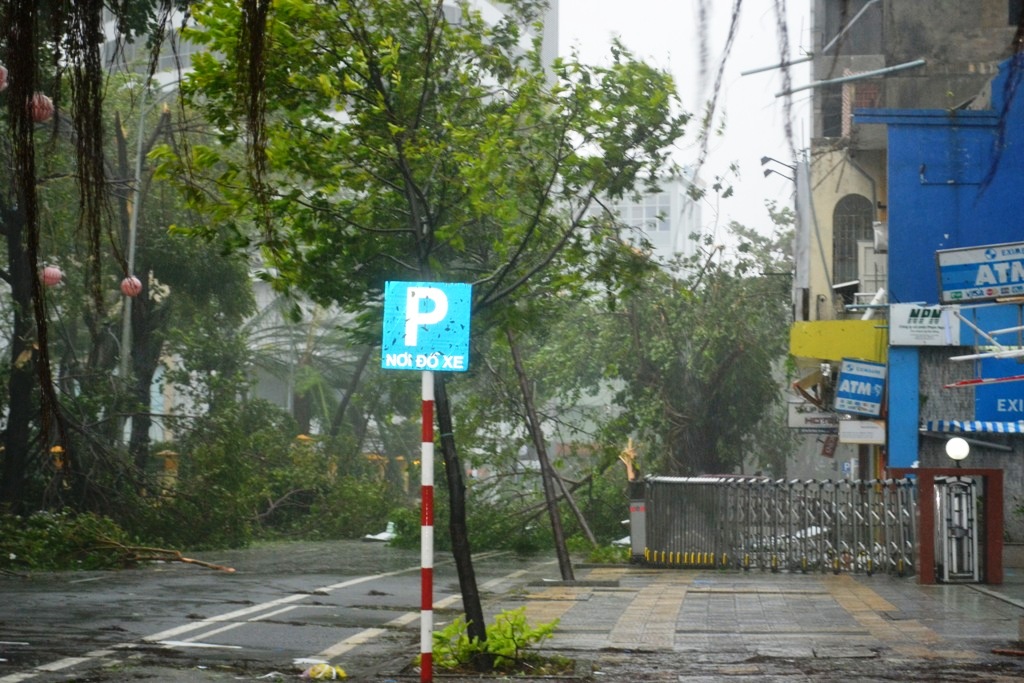 Cập nhật bão số 11