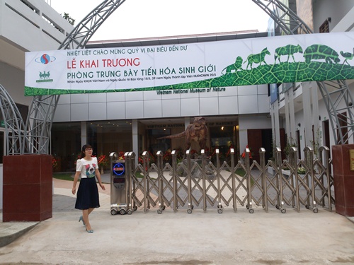 Bảo t&agrave;ng Thi&ecirc;n nhi&ecirc;n Việt Nam nằm trong khu&ocirc;n vi&ecirc;n Viện H&agrave;n l&acirc;m KH&CN Việt Nam ở Ho&agrave;ng Quốc Việt, H&agrave; Nội