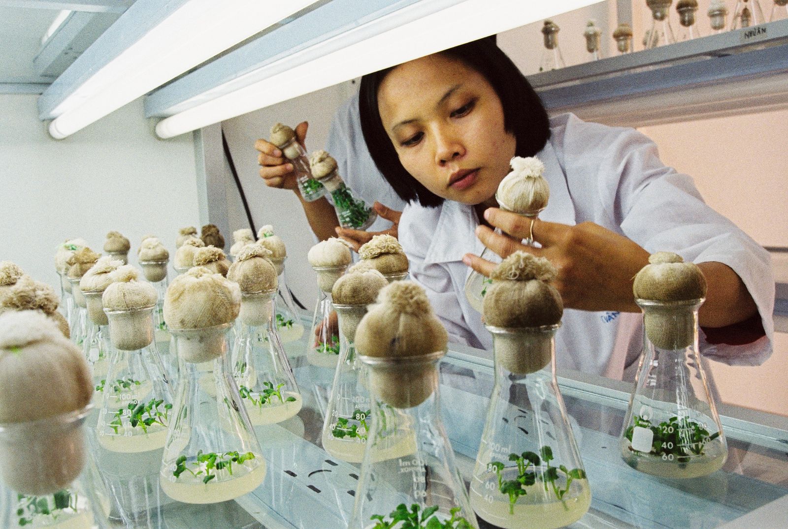 Điều chỉnh lương cho c&aacute;c nh&agrave; khoa học