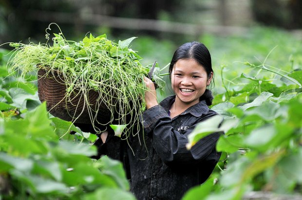 Khoa học Công nghệ 2014: Hà Nội đạt nhiều thành tựu khả quan Khoa học Công nghệ 2014: Hà Nội đạt nhiều thành tựu khả quan