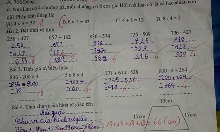 Lời giải chính xác bài toán đếm gà