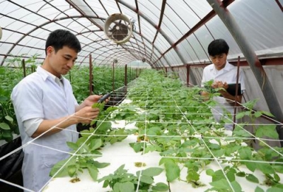 Bổ sung ngân sách khoa học công nghệ từ Trung ương cho địa phương