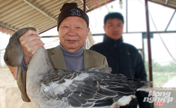Cựu Phó Thủ tướng Nguyễn Công Tạn thăm trại ngỗng trời Cựu Phó Thủ tướng Nguyễn Công Tạn thăm trại ngỗng trời