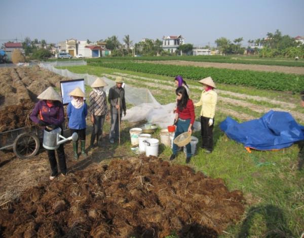 Ứng dụng c&ocirc;ng nghệ sinh học để sử dụng phế phẩm n&ocirc;ng nghiệp