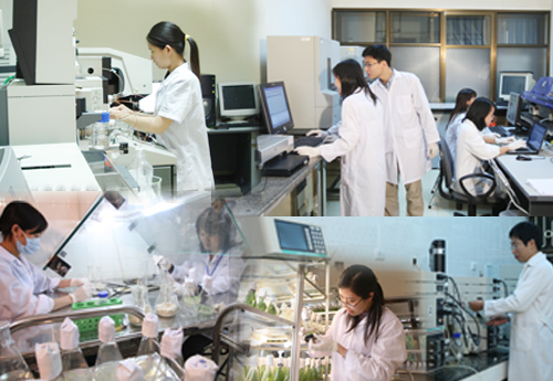 Ph&ograve;ng th&iacute; nghiệm trọng điểm quốc gia về c&ocirc;ng nghệ gen