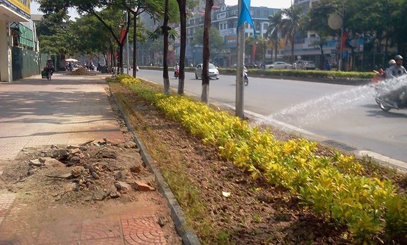 Vỉa h&egrave;