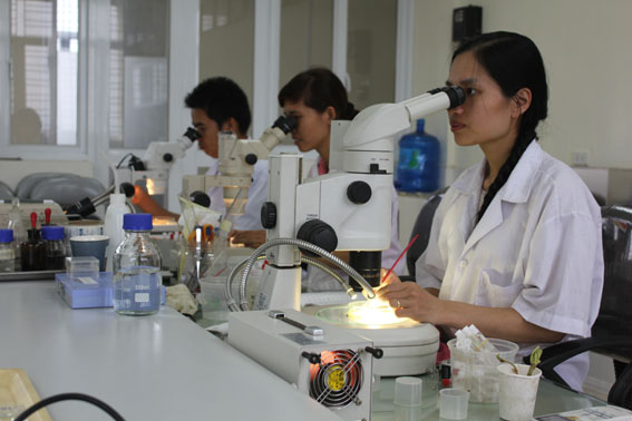 Việt Nam c&oacute; bao nhi&ecirc;u c&aacute;n bộ nghi&ecirc;n cứu ?