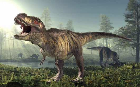 Nghi&ecirc;n cứu mới về bước đi của khủng long bạo ch&uacute;a T-Rex