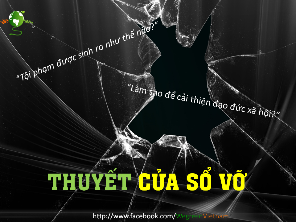 Nạn trộm ch&oacute; v&agrave; những tấm cửa sổ đổ vỡ
