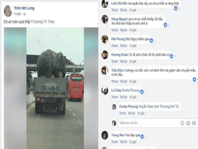 Người d&acirc;n h&atilde;i h&ugrave;ng nh&igrave;n chiếc xe tải chở voi đi tr&ecirc;n quốc lộ