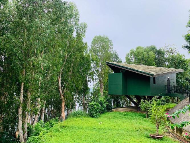 Cảnh b&aacute;o: Nguy cơ nhiễm tr&ugrave;ng m&aacute;u nếu t&ugrave;y &yacute; d&ugrave;ng Đ&ocirc;ng y để chữa thủy đậu
