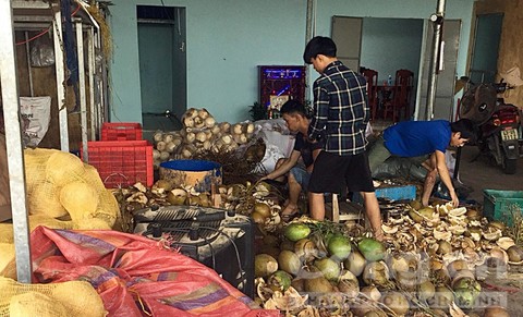 Quảng Nam: Ph&aacute;t hiện cơ sở sử dụng chất tẩy kh&ocirc;ng r&otilde; nguồn gốc để ng&acirc;m ủ, tẩy trắng vỏ dừa