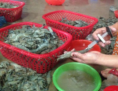 Quảng Ninh: Bắt giữ 360 kg chất phụ gia, c&oacute; nguồn gốc xuất xứ từ Trung Quốc