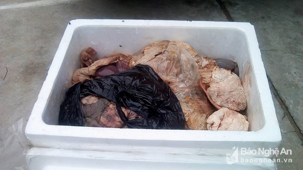 Nghệ An: Bắt giữ 30 kg nội tạng bốc m&ugrave;i h&ocirc;i thối tr&ecirc;n xe kh&aacute;ch