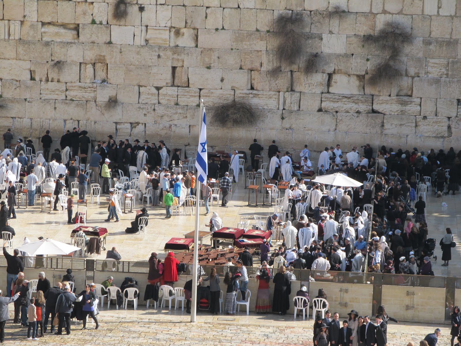 Hội chứng t&acirc;m thần Jerusalem tại Palestine