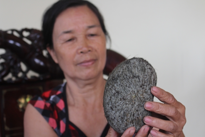 Vật thể lạ nghi l&agrave; &lsquo;c&aacute;t lợn&rsquo; t&igrave;m thấy trong bụng con lợn n&aacute;i của gia đ&igrave;nh b&agrave; Mai
