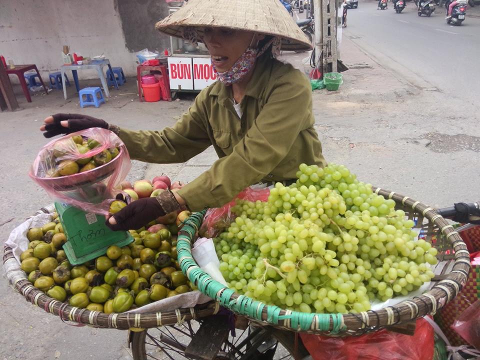 Hồng ng&acirc;m miền Bắc