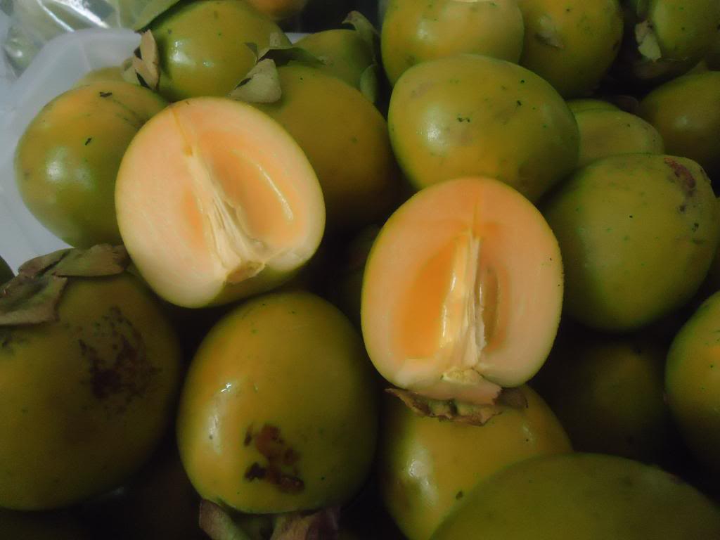 Hồng ng&acirc;m của nhiều tỉnh miền Bắc được coi l&agrave; tr&aacute;i c&acirc;y đặc sản, gi&ograve;n ngon v&agrave; kh&ocirc;ng 13Win21 con - Tri ân hội viên mỗi tháng 2000 tỷ