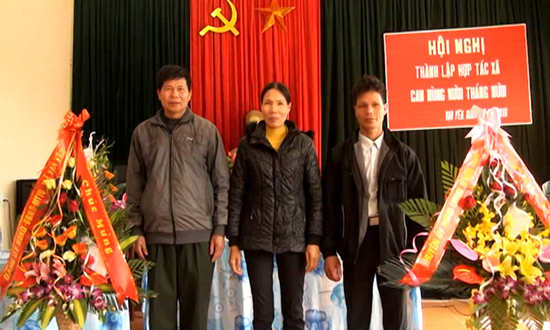 HTX Cam 10/10 sản xuất theo ti&ecirc;u chuẩn VIETGAP