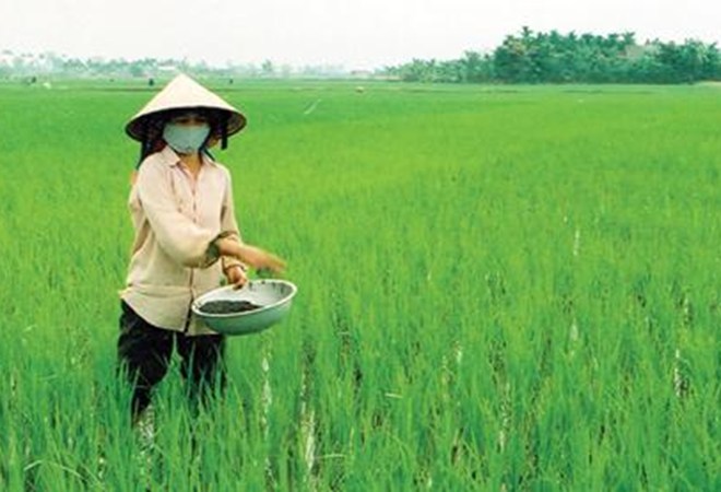 Năng suất chất lượng