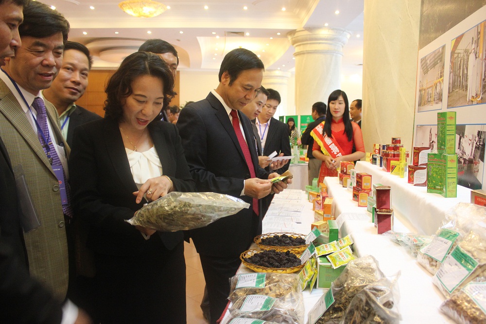 dược liệu quý
