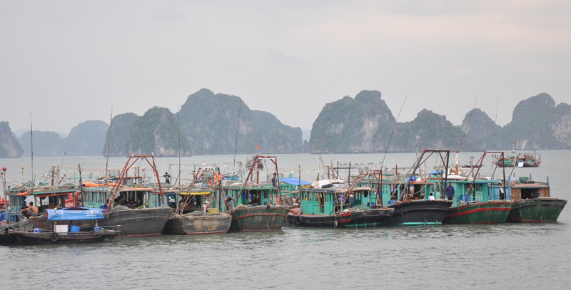 B&atilde;o số 1 đổ bộ Quảng Ninh