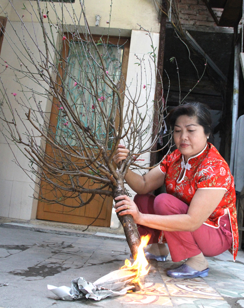 Kh&ocirc;ng chỉ cần &aacute;p dụng đ&uacute;ng kỹ thuật trồng c&acirc;y, m&agrave; người d&acirc;n c&ograve;n cần biết một số mẹo để c&oacute; c&agrave;nh đ&agrave;o đẹp