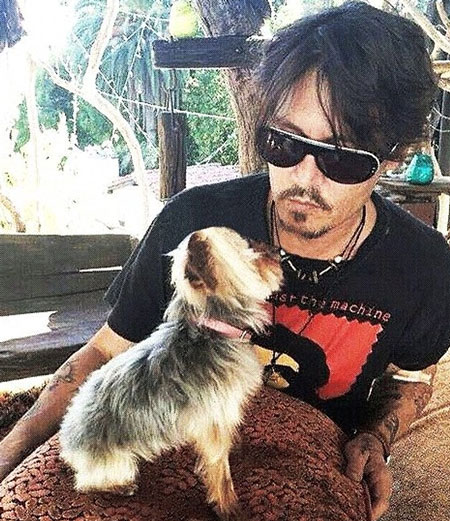 T&agrave;i tử Jphnny Depp sẵn s&agrave;ng chi h&agrave;ng ngh&igrave;n đ&ocirc; để cứu c&uacute;n cưng 