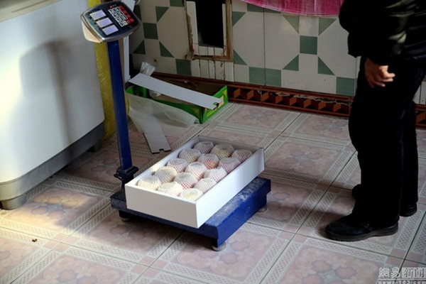 Gou lo việc b&aacute;n online, c&ograve;n gia đ&igrave;nh c&ocirc; đ&oacute;ng g&oacute;i v&agrave; vận chuyển đến cho kh&aacute;ch h&agrave;ng.