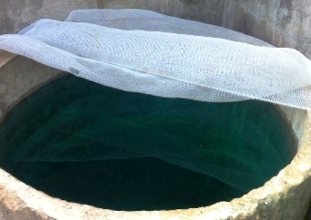 Bể nước của gia đ&igrave;nh &ocirc;ng Hoa chuyển m&agrave;u xanh ngắt, nổi bọt trắng nghi bị hạ thuốc độc