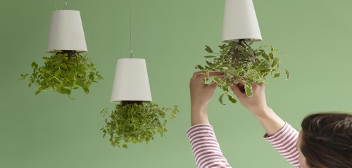 Trang tr&iacute; c&acirc;y xanh trong nh&agrave; bằng c&aacute;c chậu c&acirc;y treo ngược l&agrave; một &yacute; tưởng mới mẻ 