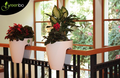 Những chậu c&acirc;y lan can n&agrave;y rất thuận tiện cho di chuyển