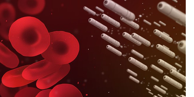 C&ocirc;ng nghệ nano vẫn chưa được khai th&aacute;c hết c&ocirc;ng dụng
