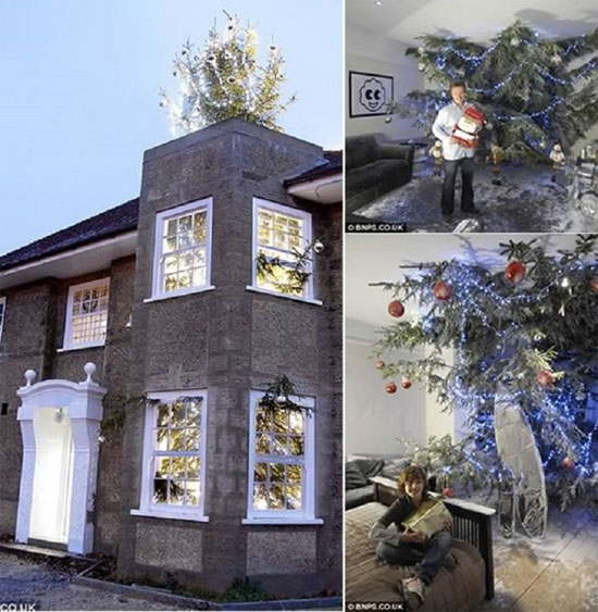 C&acirc;y th&ocirc;ng noel n&agrave;y đ&atilde; g&acirc;y kh&ocirc;ng &iacute;t hiểu lầm cho mọi người