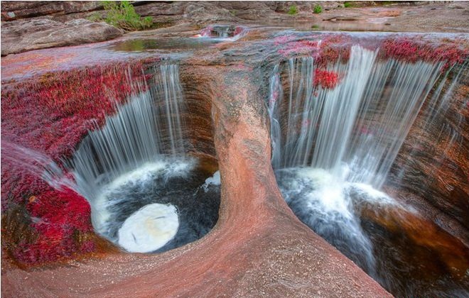 S&ocirc;ng Cano Cristales l&agrave; một kh&aacute;m ph&aacute; thế giới về tự nhi&ecirc;n đẹp nhất tr&ecirc;n thế giới