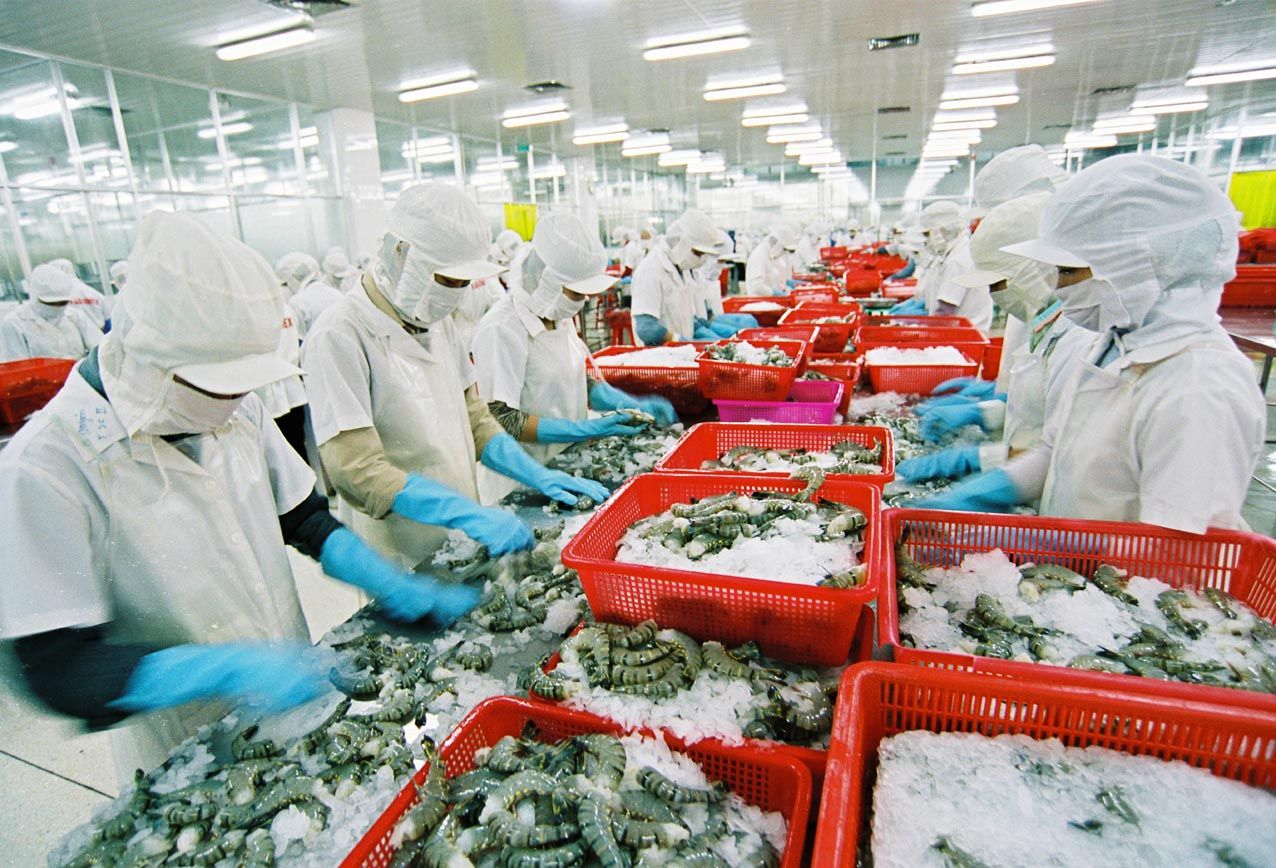 Khẩn cấp kiểm so&aacute;t chất lượng thủy sản xuất khẩu