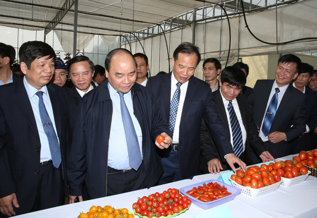 Ph&oacute; Thủ tướng Nguyễn Xu&acirc;n Ph&uacute;c đ&aacute;nh gi&aacute; cao vai tr&ograve; của khoa học c&ocirc;ng nghệ trong việc n&acirc;ng cao năng suất chất lượng n&ocirc;ng nghiệp