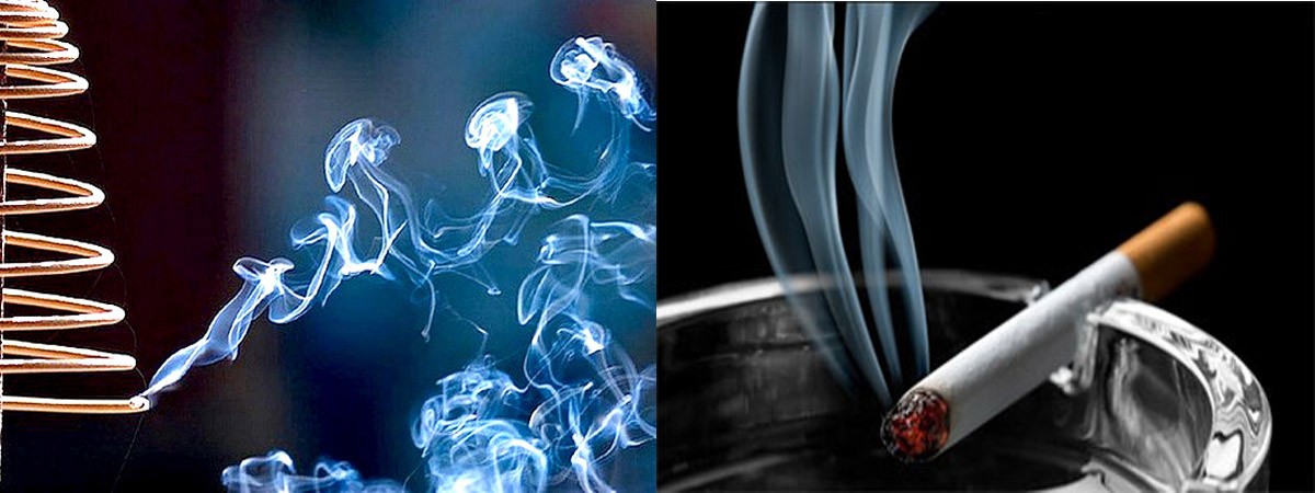kh&oacute;i hương c&oacute; khả năng thay đổi vật liệu di truyền như DNA, v&agrave; do đ&oacute; g&acirc;y ra đột biến.