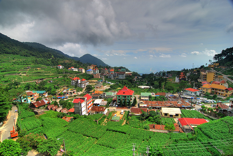 Du lịch Tam Đảo Du lịch Tam Đảo