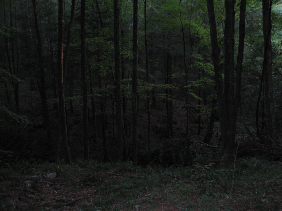 Rừng Dark Entry, Mỹ: Rừng Dark Entry tọa lạc tại thị trấn Dudley, Cornwall, bang Connecticut, Mỹ. Vào thế kỷ thứ XVIII, rừng Dark Entry và thị trấn cạnh nó là một khu vực phản triển thịnh vượng. Nó trở thành khu định cư nổi tiếng trong suốt thời gian dài, cho đến khi những hiện tượng bí ẩn bắt đầu xảy đến với người dân địa phương; những vụ giết người, hình ảnh kỳ lạ, thú nuôi thường xuyên biến mất, thậm chí vụ tự tử tập thể cũng diễn ra trong nhiều năm liên tiếp. 