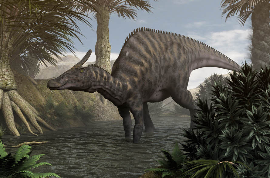 Một con khủng long khổng lồ Saurolophus angustirostris trưởng th&agrave;nh