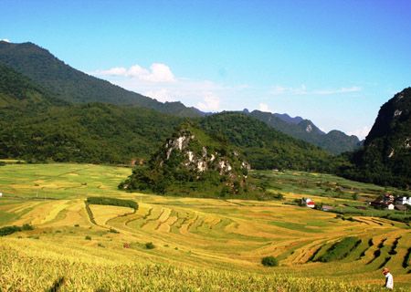 8. Thịt sống còn tươi máu đỏ. Khi trông thấy một cái đầu heo nằm trên bàn thịt, du khách không thể ngửi thấy mùi hôi nồng vì người bán chỉ vừa chặt nó cách đây khoảng 4 - 5 tiếng. Độ tươi sống của thịt thể hiện qua màu máu đỏ thẫm. Phần lớn người dân mua thịt lúc vừa mới xẻ trong ngày.