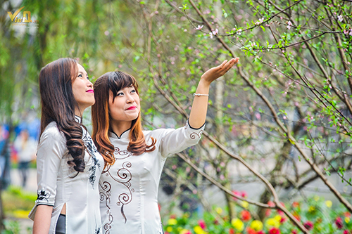 Những thiếu nữ trong trang phục áo dài lưu lại những khoảnh khắc đẹp cùng bạn bè.