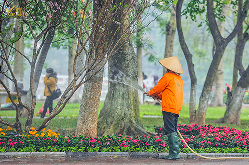 Nhiều chậu hoa, canh cảnh được các công nhân chăm sóc, trang trí 