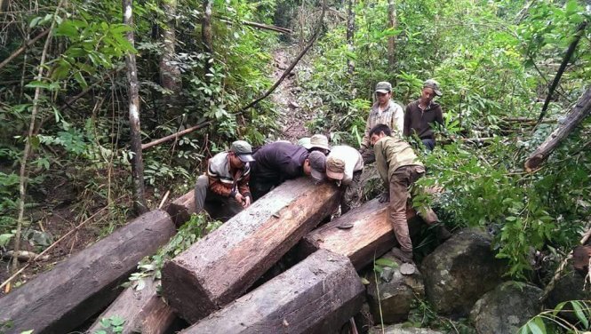 Hạt trưởng Hạt Kiểm L&acirc;m cho biết truy t&igrave;m đối tượng chở gỗ để x&aacute;c minh