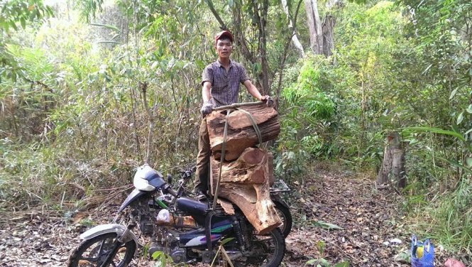 Kiểm l&acirc;m vắng b&oacute;ng, l&acirc;m tặc ho&agrave;nh h&agrave;nh quay clip trong rừng