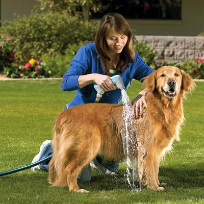 ki&ecirc;̉m soát bọ cho v&acirc;̣t nu&ocirc;i bằng cách v&ecirc;̣ sinh hàng ngày