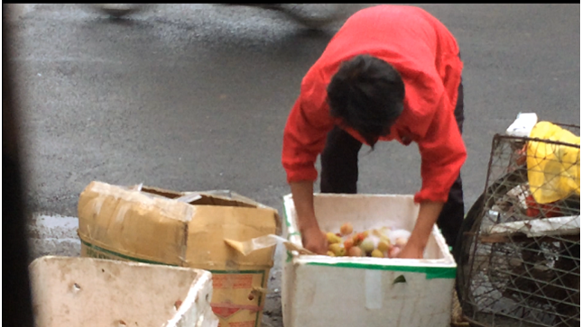 Kinh ho&agrave;ng rửa đ&agrave;o bằng nước x&agrave; ph&ograve;ng