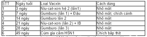 Kỹ thuật chăn nu&ocirc;i: Lịch ch&ugrave;ng ngừa bằng vaccine